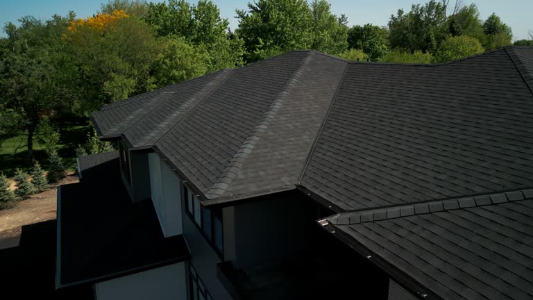 Best Steel Roofing  in Inglis, FL